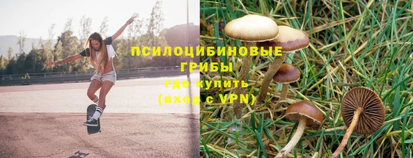 спиды Абинск